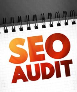 SEO audit service